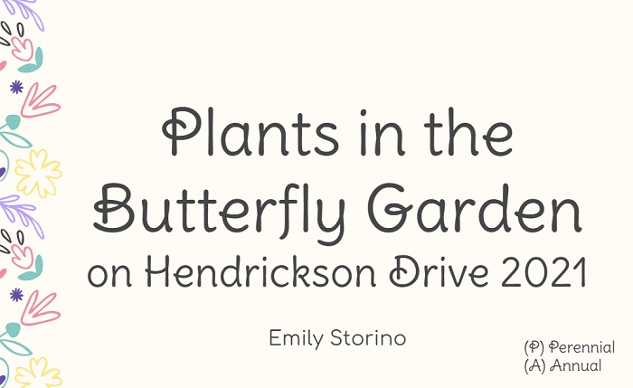 ButterflyGarden