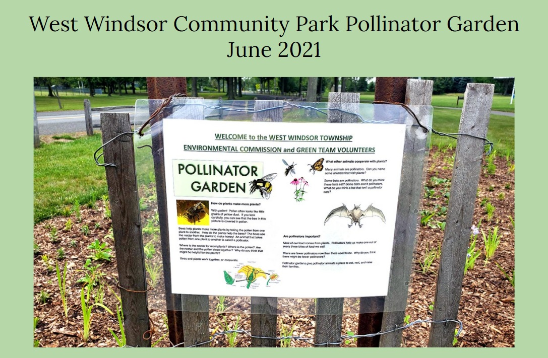 West Windsor Community Park Pollinator Garden Slideshow June 2021
