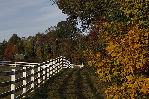 WW fence Kris Orr